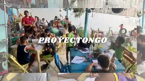 Proyectongo